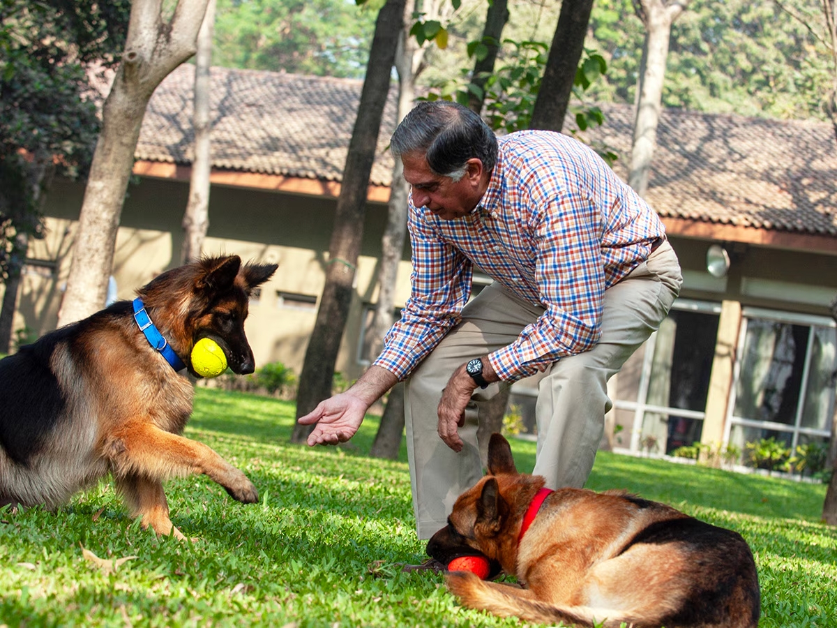 Hintli milyarder Ratan Tata’nın vasiyeti belli oldu: Milyar dolarları köpeğine bıraktı!