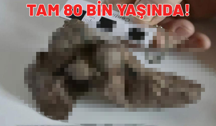 Tam 80.000 yaşında ama hala sapasağlam. Gören bir daha bakıyor.