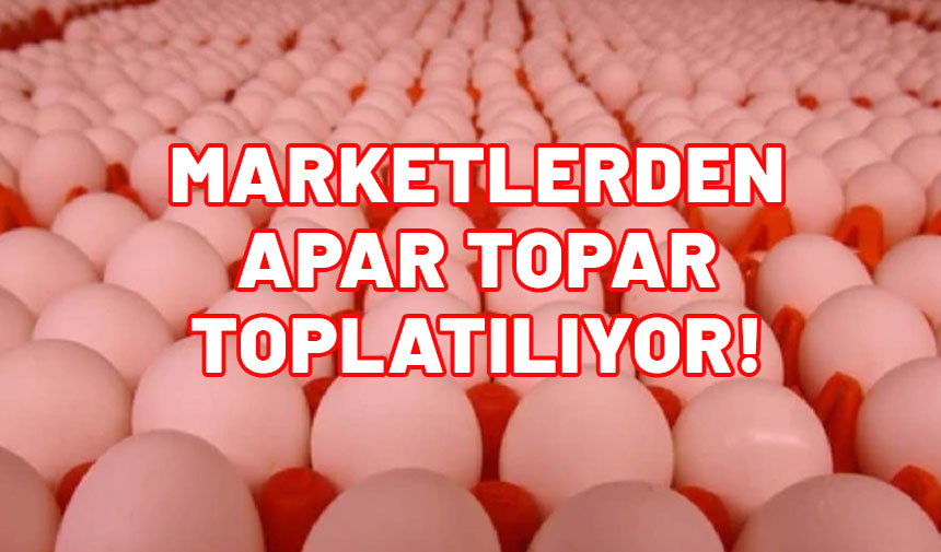 Yumurtalarda salmonella bulundu. Marketlerden apar topar kaldırılıyor.