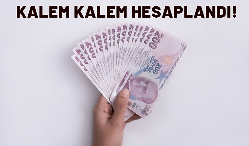 Hesaplar sil baştan! 2025 ehliyet, pasaport, IMEİ kayıt ücreti, MTV ve yurt dışı çıkış harcı ne kadar oldu?