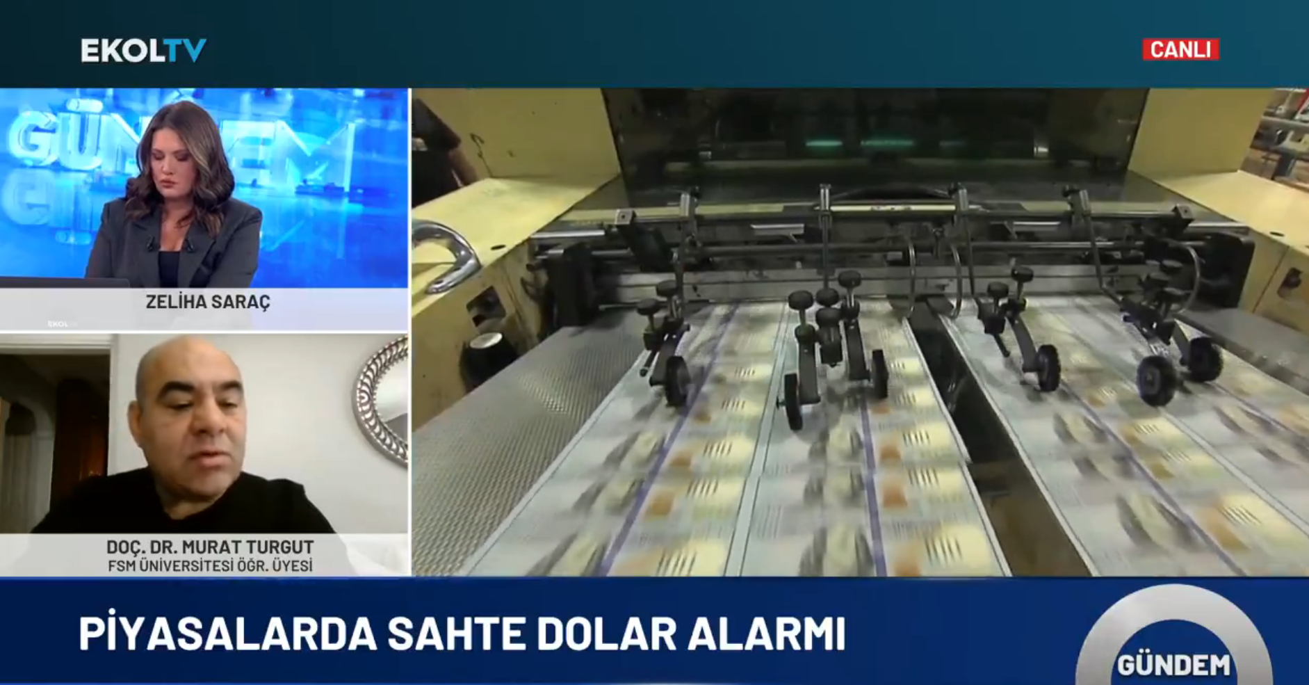 Sahte dolar nasıl ayırt edilir? Para sayma makineleri nasıl düzelecek? Uzman isim Ekol TV'de yanıtladı