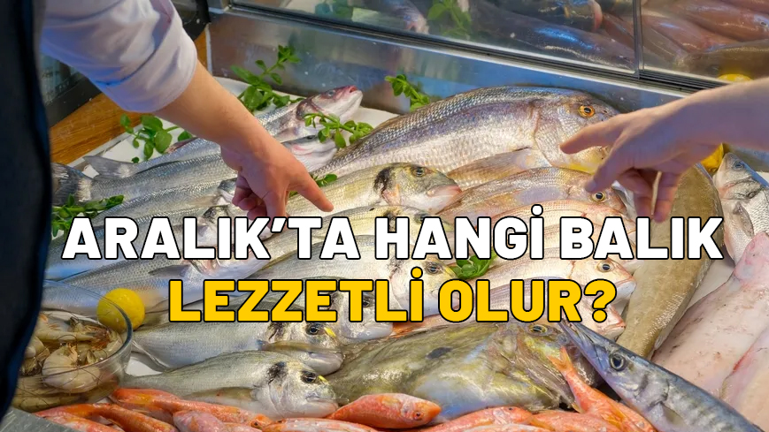 Aralık ayında yenecek balıklar: Aralık’ta hangi balık lezzetli olur, nasıl pişirmeli?