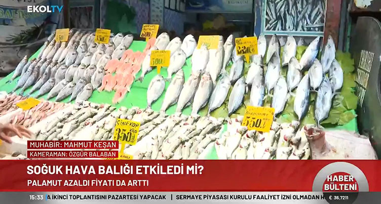 Soğuk hava balığı etkiledi mi? Balık fiyatlarında son durum ne? Ekol TV muhabiri son durumu yerinde inceledi