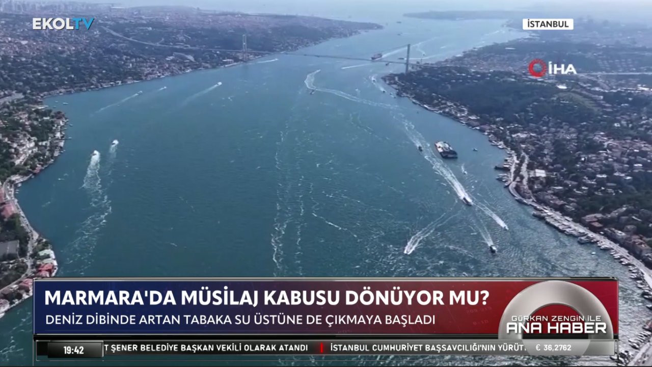 Marmara Denizi'nde müsilaj alarmı: Tehlike İstanbul'a İlerliyor, yüzeye çıkmaya başladı