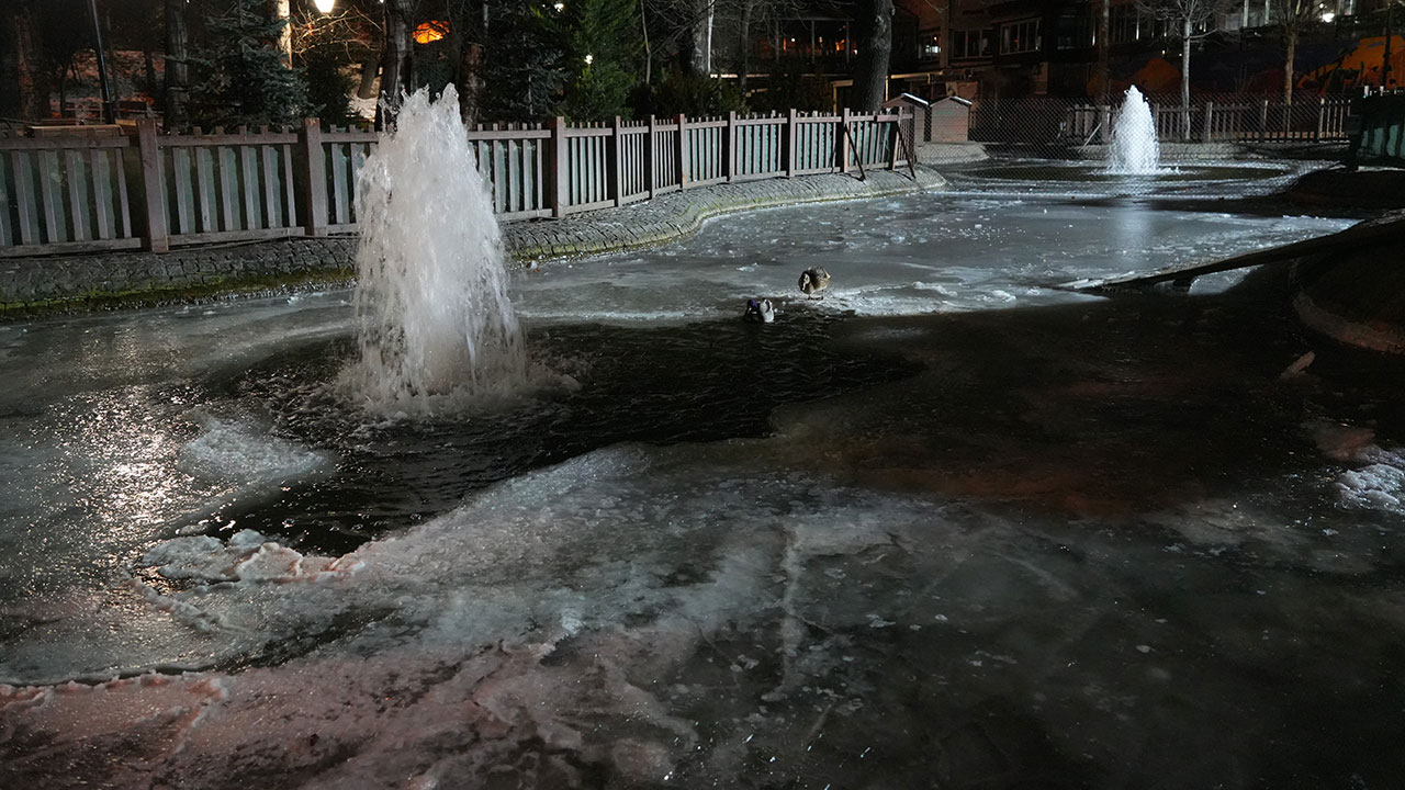 Hava sıcaklığı eksi 10 dereceyi gördü: Resmen buz kesti, Kuğulu Park'taki havuz bile dondu