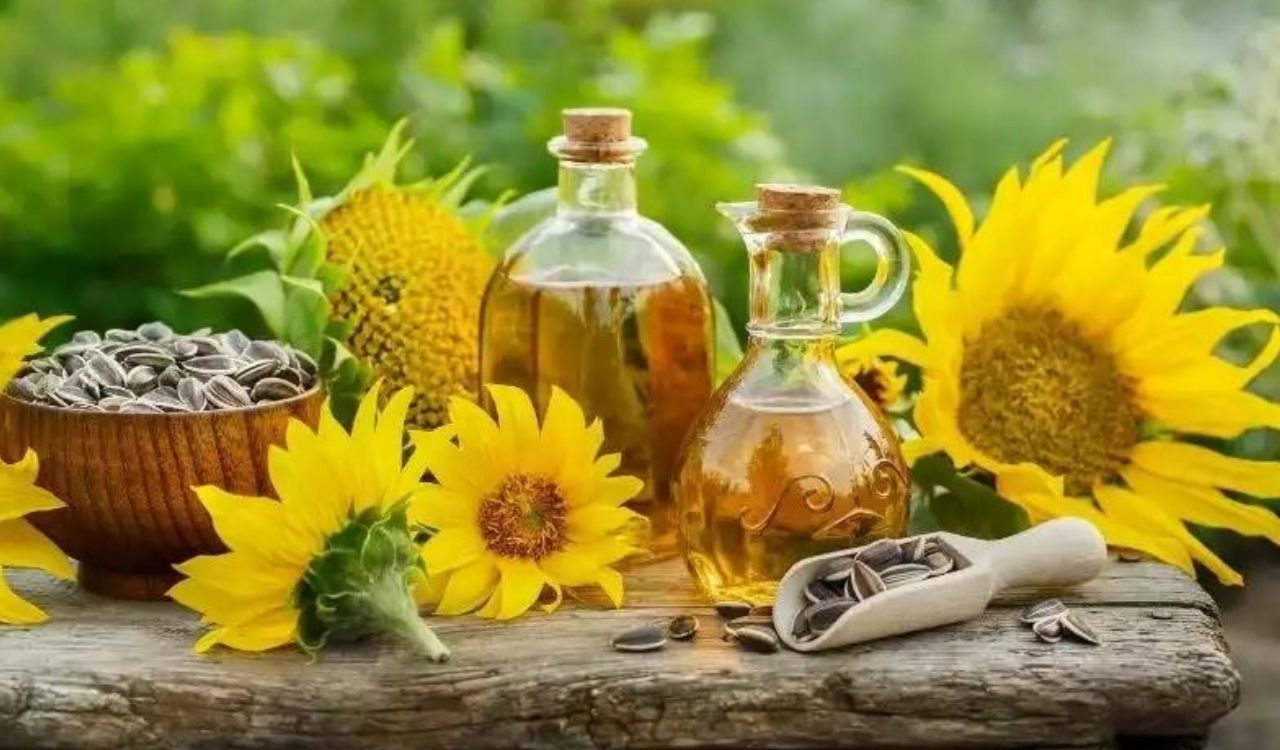 AYÇİÇEK YAĞINDA BOMBA İNDİRİM: 5 litre ayçiçek yağı o markette dip yaptı!