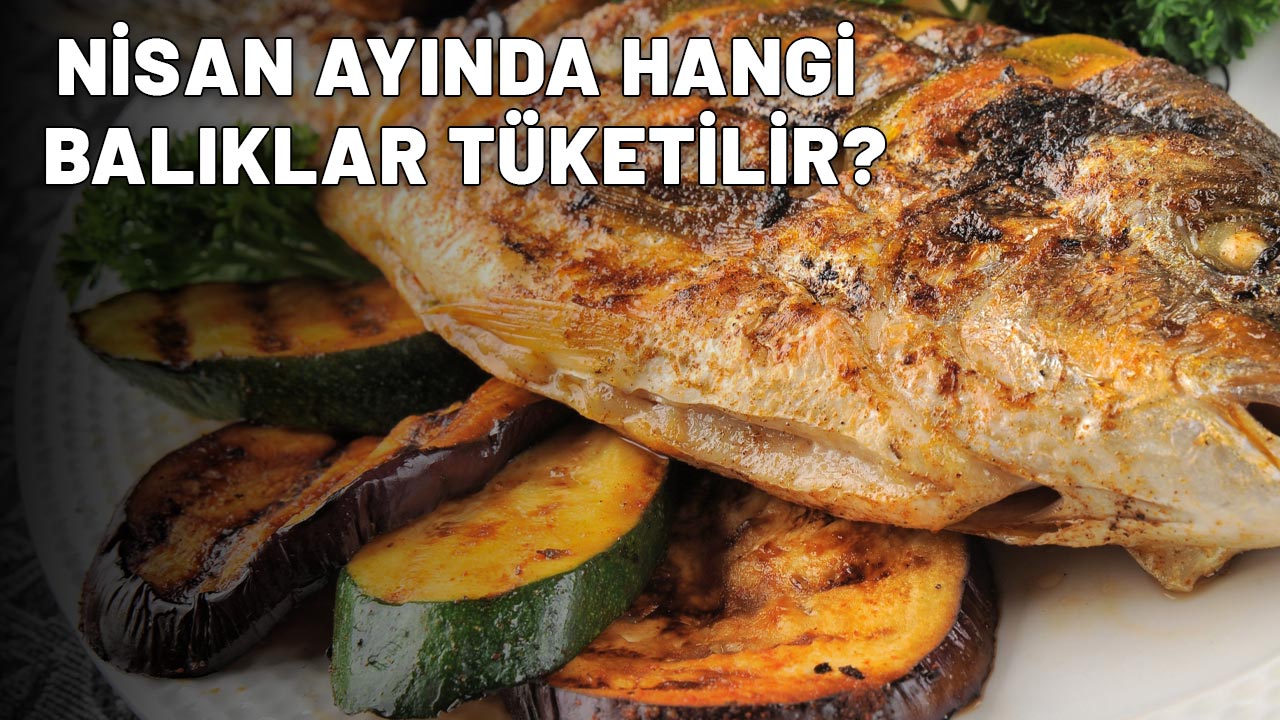 NİSAN GELDİ, TEZGÂH DEĞİŞTİ: Peki Nisan ayında hangi balıklar tüketilir? İşte mevsimin taze balıkları