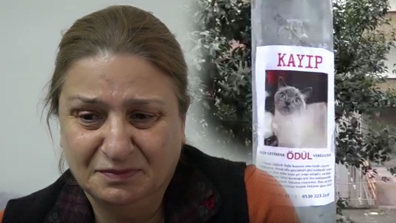 Badem'i bulana altın ödülü! Sahibi kahroldu