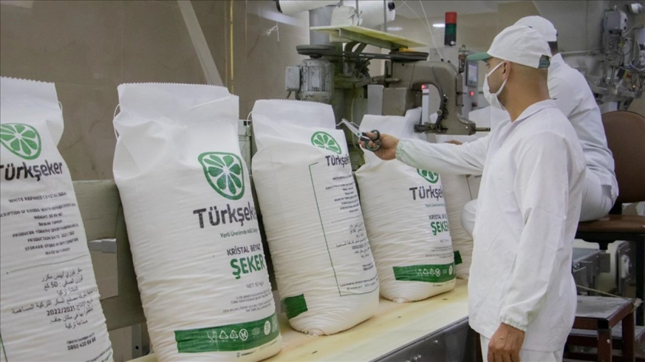 TÜRKŞEKER İŞKUR BAŞVURU EKRANI | Türkşeker 1685 işçi alımı başvuruları ne zaman 2025, şartlar neler?
