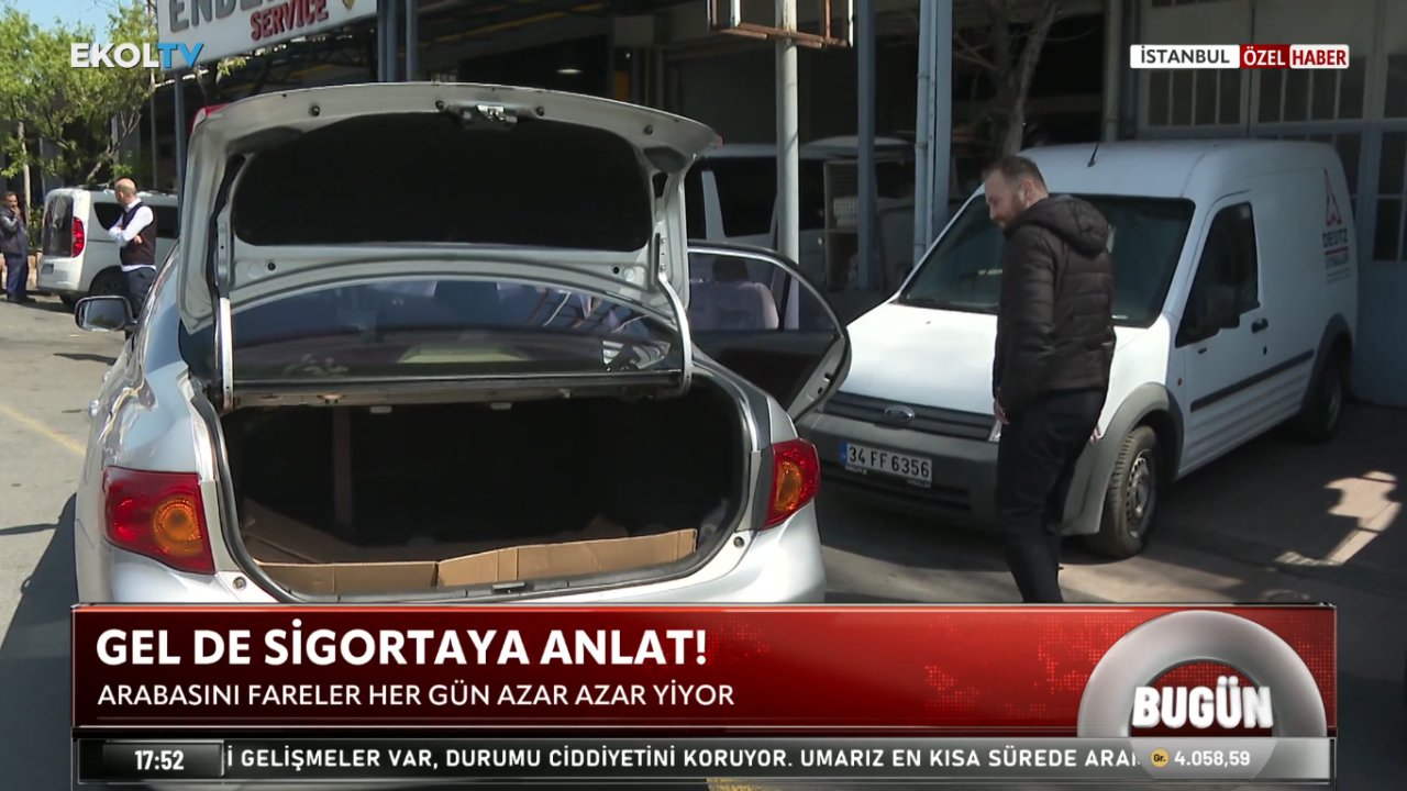 Gel de sigortaya anlat! Fareler her gün arabasını yiyor