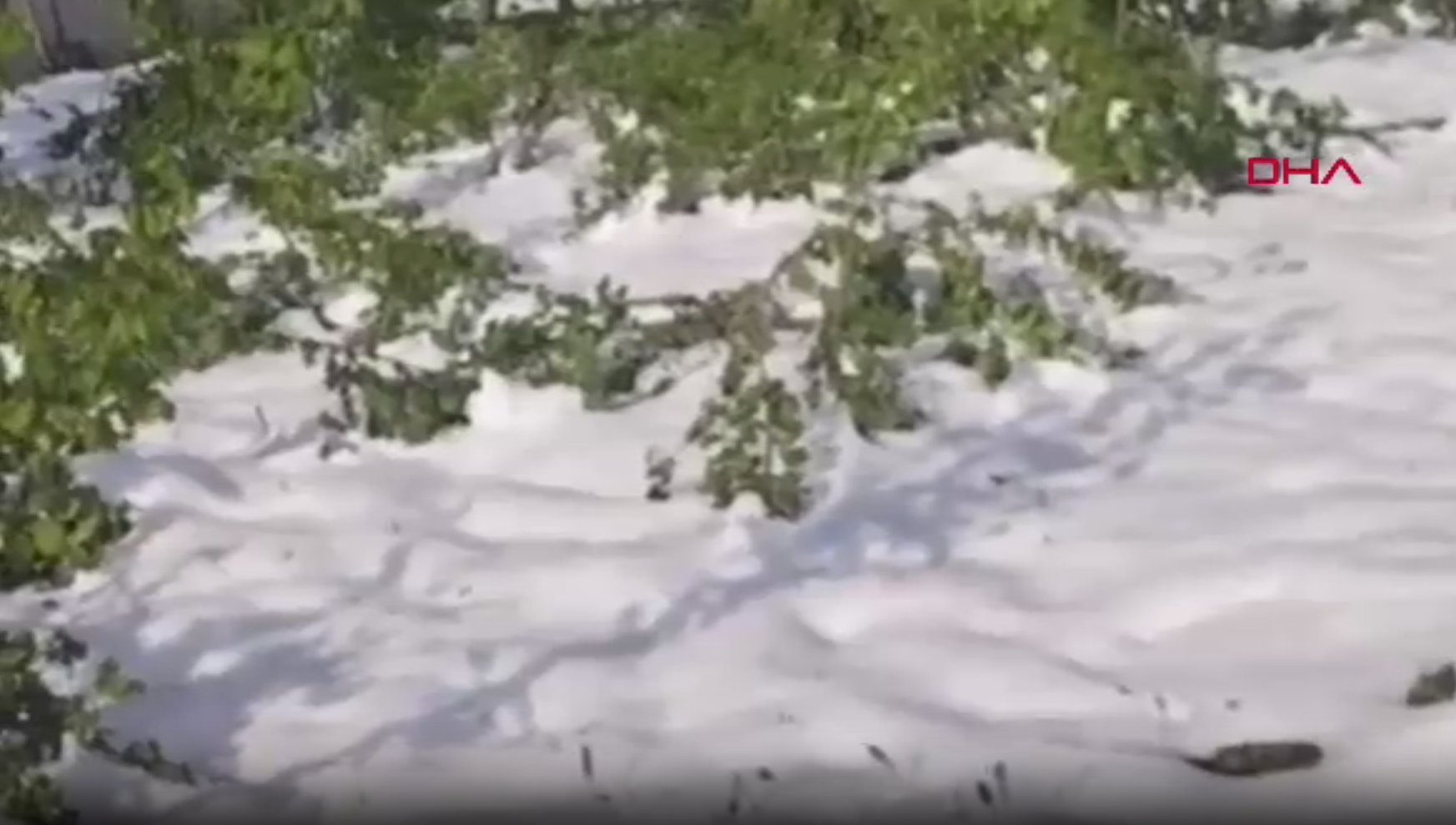 Zirai dondan etkilenen bahçesini videoya çekip ‘Sela’ okudu