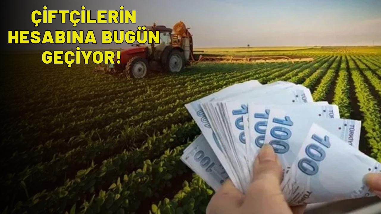 ÇİFTÇİLER BUGÜN BAYRAM EDECEK: Hesaplarınızı kontrol edin, ödemeler bir bir geçiyor!