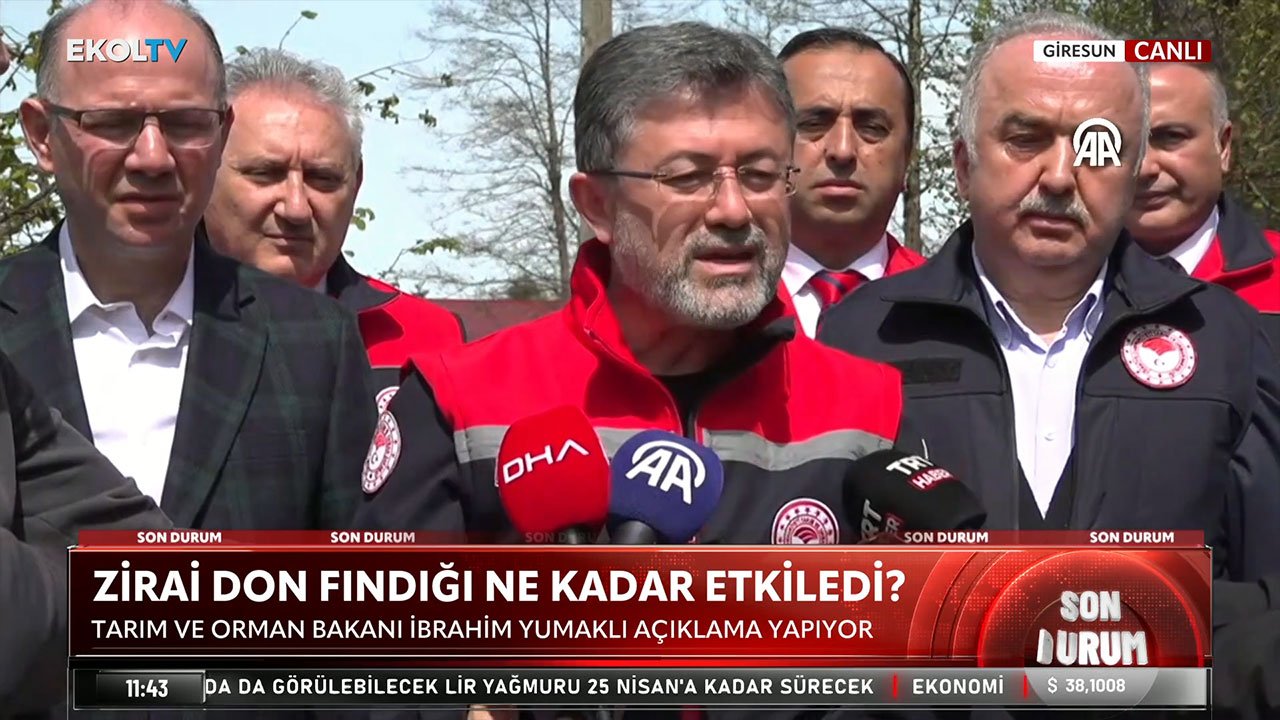 Bakan Yumaklı: Tarihin en büyük don felaketi, 16 üründe zarar var, sigortasız çiftçilere de ödeme yapılacak