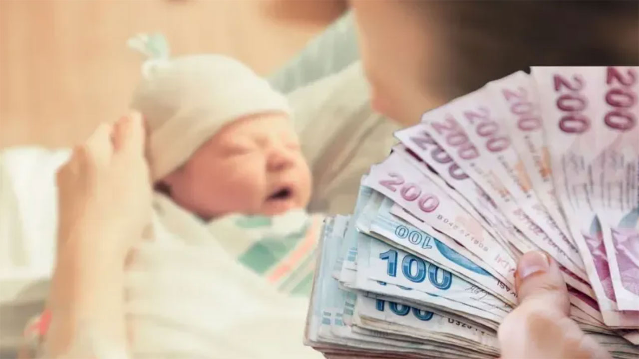 170 bin başvuru yapıldı, en çok doğum yardımı talebi bu 3 ilden geldi