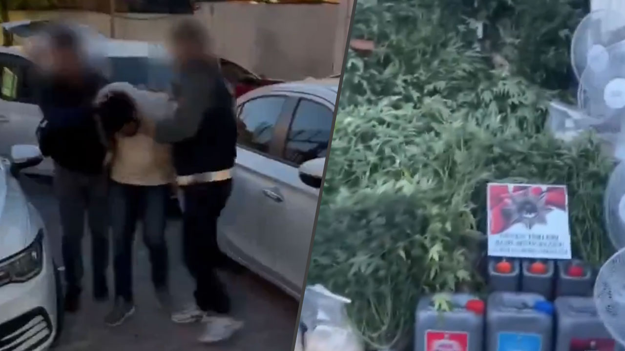 Mahalledeki koku uyuşturucuya götürdü! Mağaza zehir serası çıktı