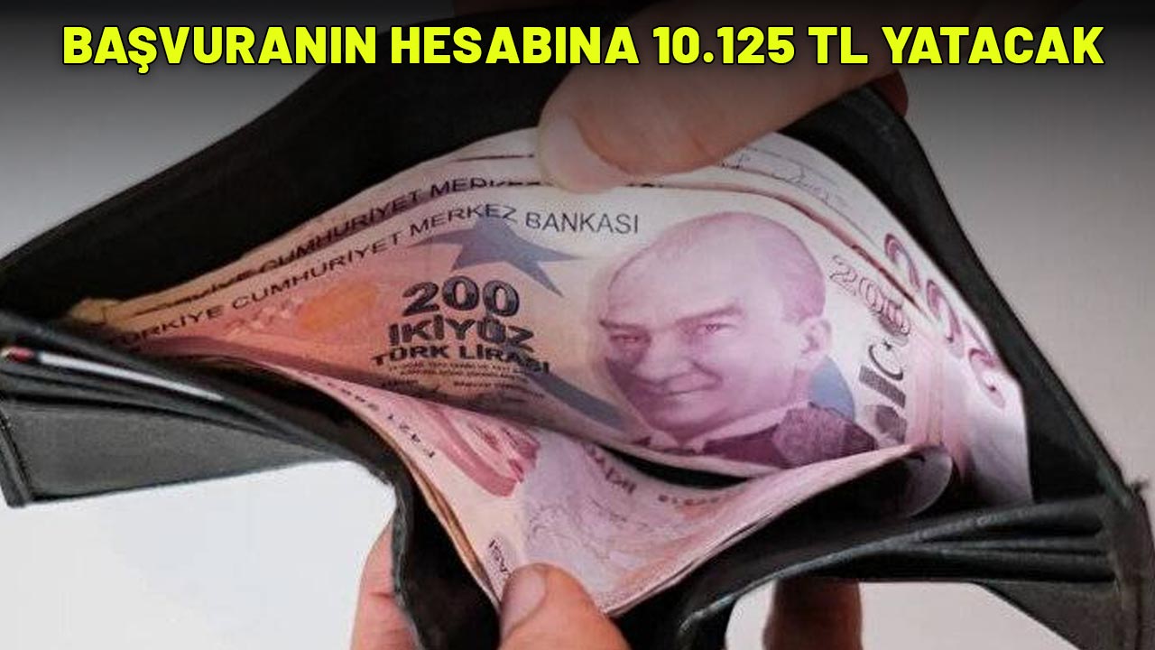 BAŞVURANIN HESABINA 10.125 TL YATACAK: Kurban Bayramı'ndan önce destek ödemesi!