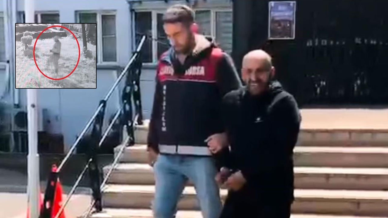 Sakar hırsız: Parayı buldu, telefonu unuttu