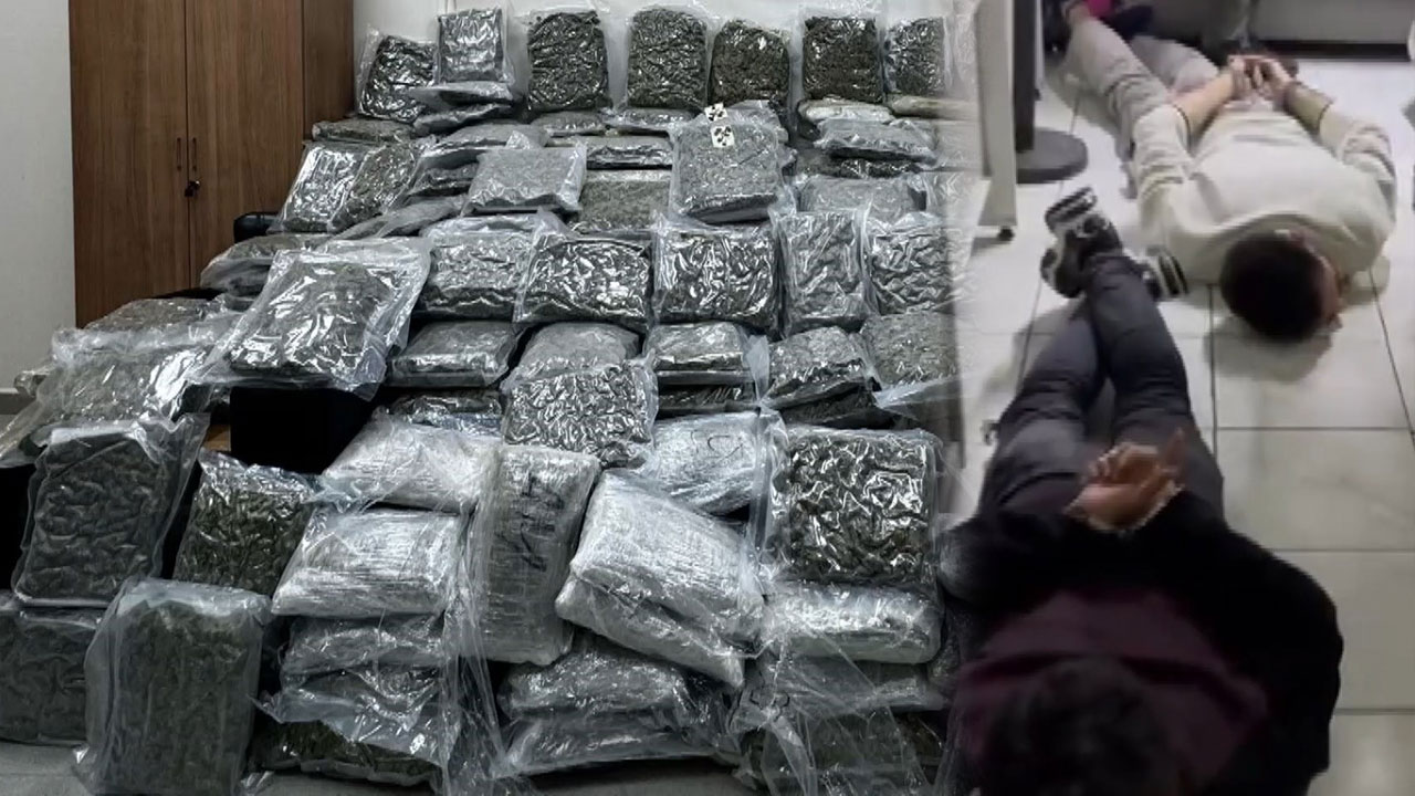 Petshop adı altında uyuşturucu merkezi kurmuşlar: 100 kilogram uyuşturucu ele geçirildi