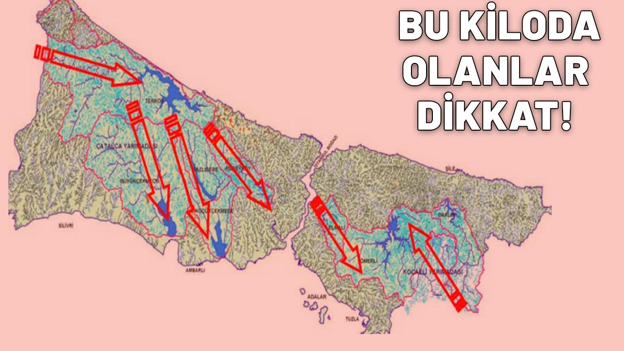 10.45 VE 20.30 ARASINA DİKKAT: Kim rüzgardan ne kadar etkilenecek? 45-55 kilogram arası olanlar....