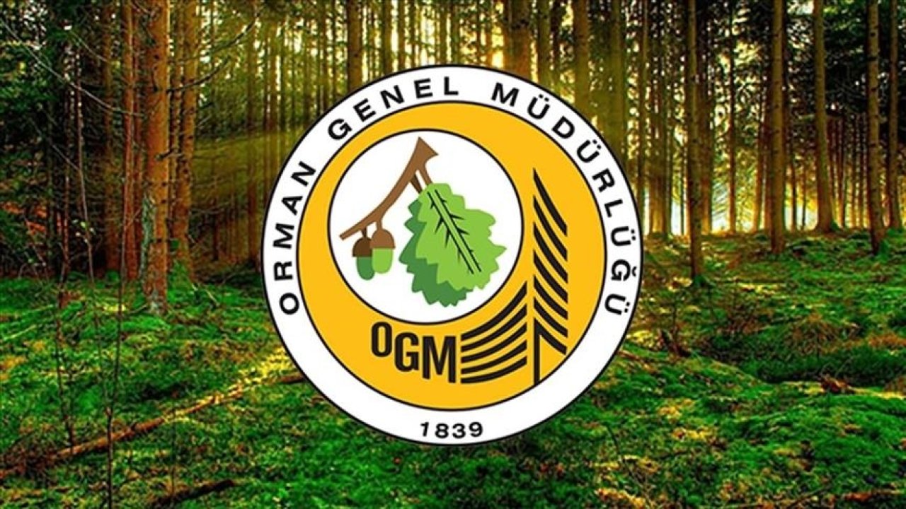OGM 105 PERSONEL ALIMI BAŞVURU TARİHLERİ 2025 | Orman Genel Müdürlüğü personel alımı başvurusu ne zaman, şartları ne?