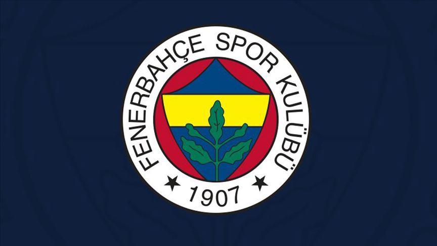 Fenerbahçe başvurmuştu, TFF o maçlara inceleme başlattı