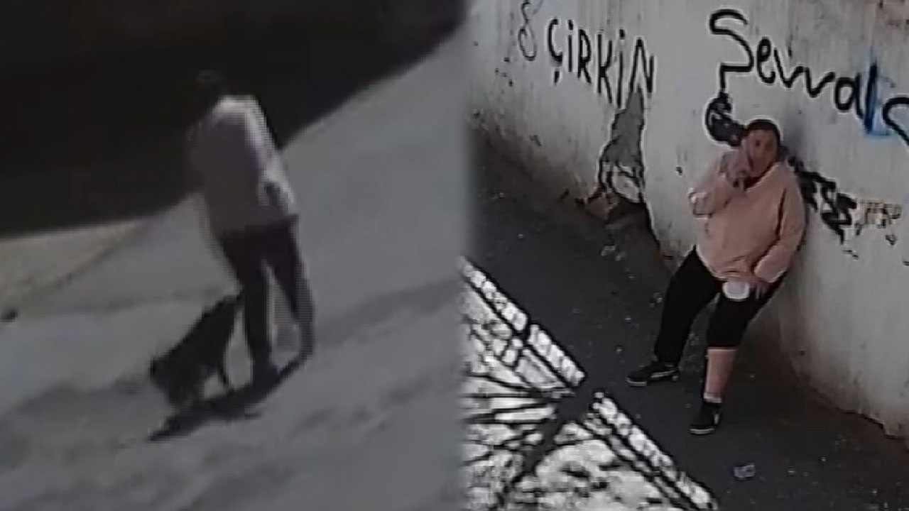 Başıboş köpek sokakta yürüyen kadına saldırdı: Bacağından aralanan talihsiz kadın hastaneye kaldırıldı