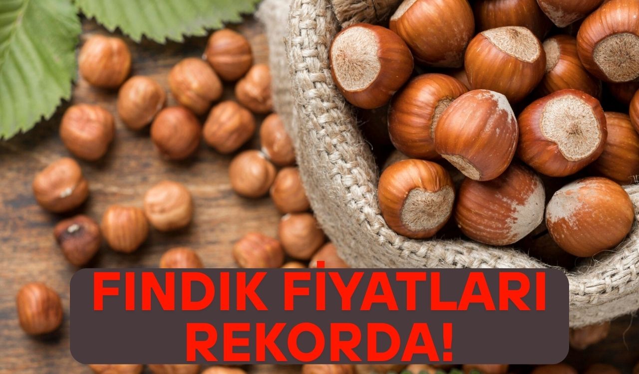 FINDIK FİYATLARI RESMEN UÇTU: 8 Mayıs Perşembe il il güncel fındık fiyatları