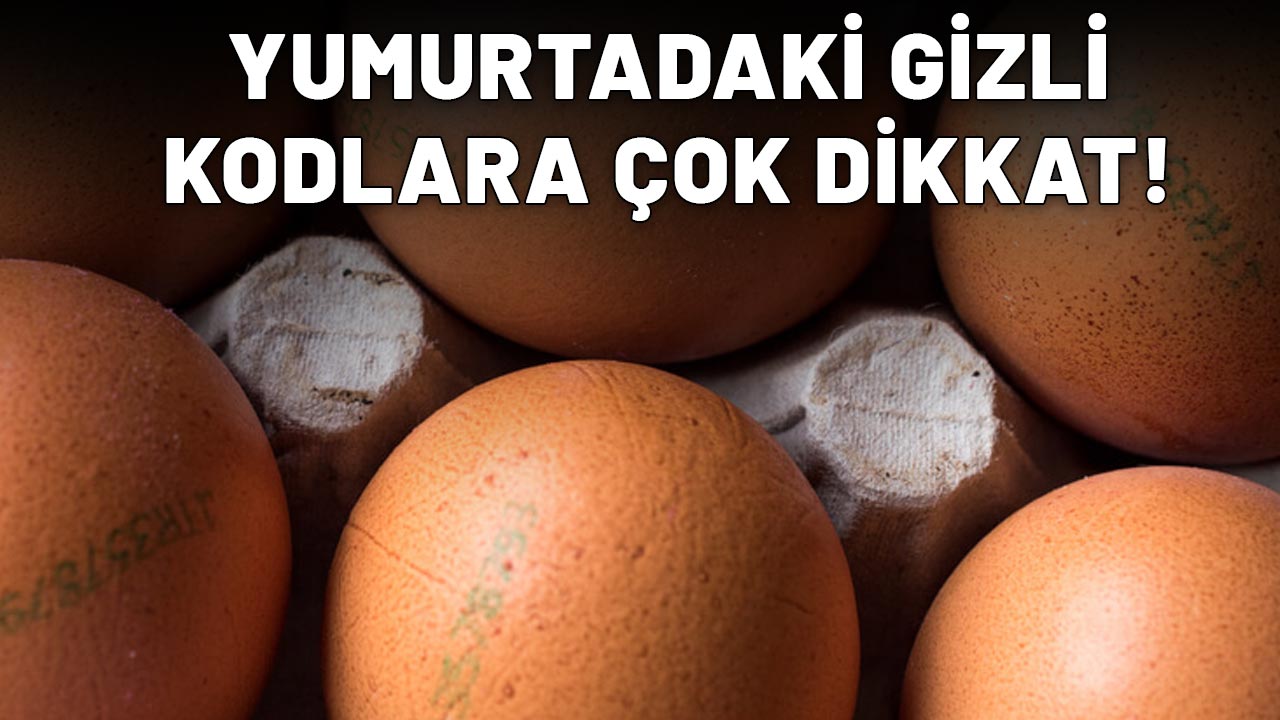 Ünlü diyetisyen Ersin Özdemir canlı yayında açıkladı: Yumurtadaki gizli kodlara dikkat! O veya 1 varsa....
