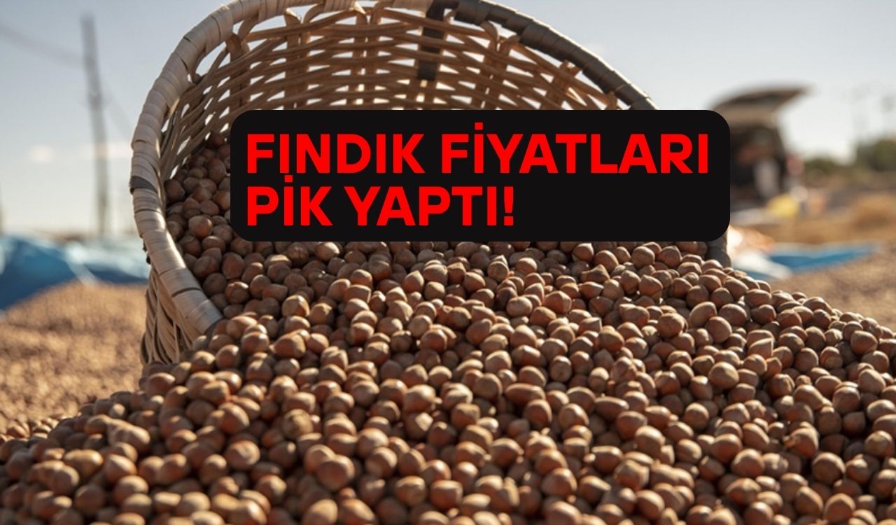 FINDIK FİYATLARI BAYRAM ÖNCESİ YÜKSELİŞE GEÇTİ: 4 Haziran 2025 fındık fiyatlarında son durum ne?