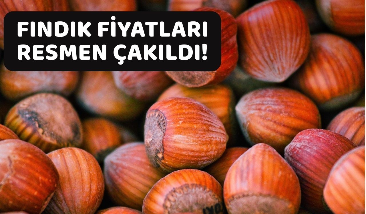 FINDIK FİYATLARINDA SERT DÜŞÜŞ: 15 Mayıs fındık fiyatları belli oldu. Fındık fiyatlarında son durum ne?
