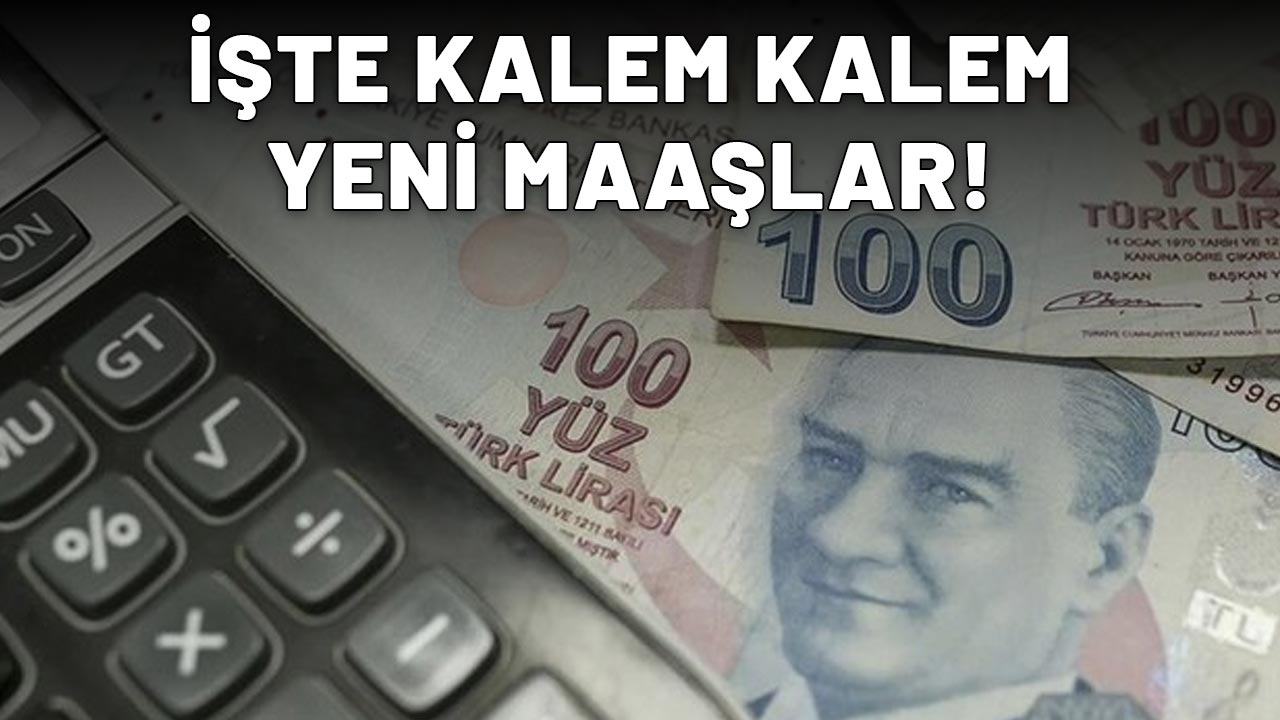 MEMUR, ÖĞRETMEN, DOKTOR, POLİS NE KADAR MAAŞ ALACAK? Kalem kalem hesaplandı! İşte  6 aylık enflasyon farkına göre maaş tablosu