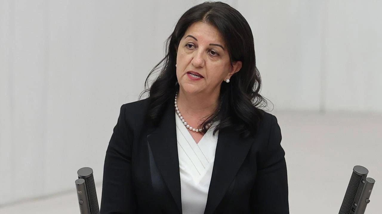 İmralı'yı ziyaretinin ardından DEM Parti'den açıklama