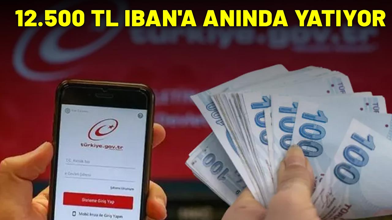 12.500 TL IBAN'A ANINDA YATIYOR: e-Devlet'ten başvurabilirsiniz!