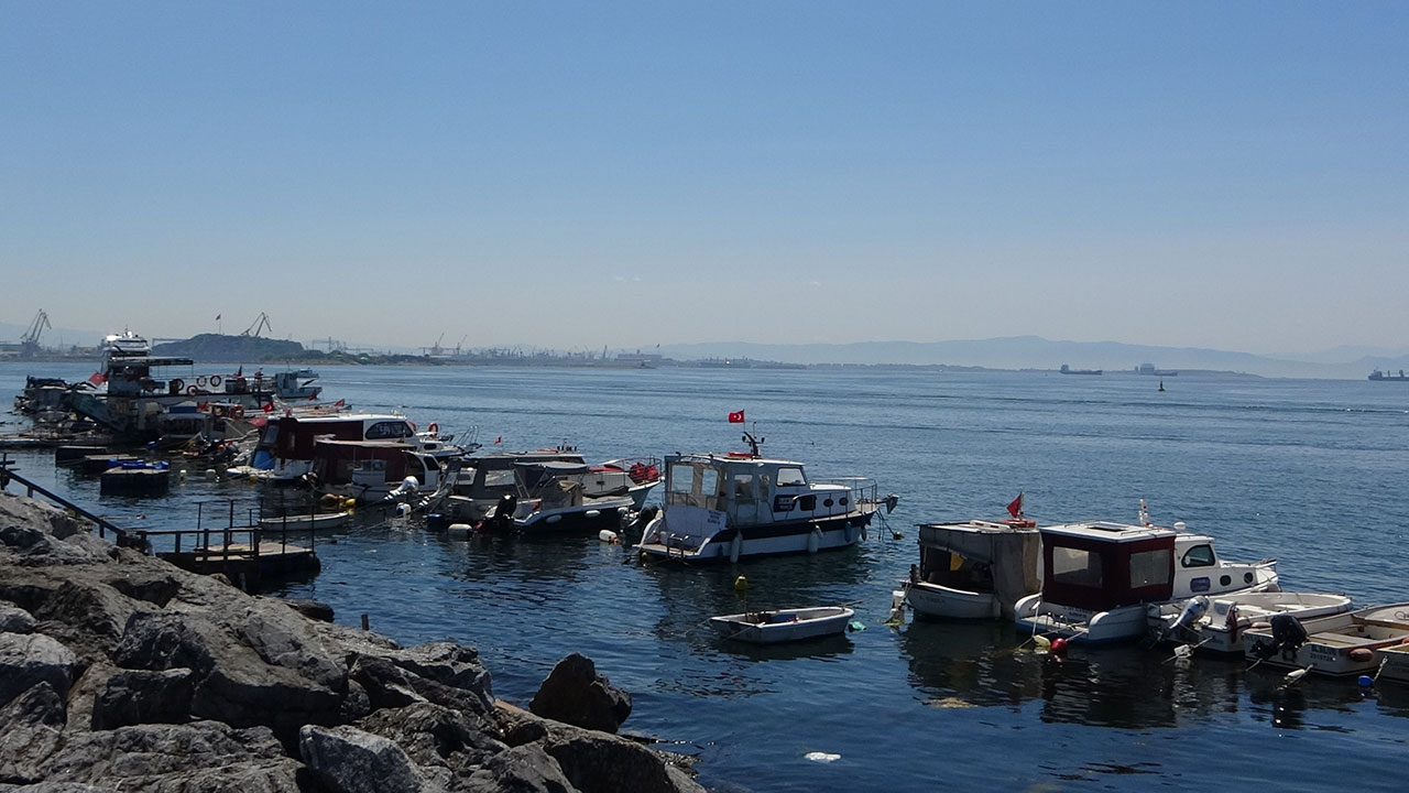 İstanbul Pendik'te balıkçılar şoke oldu: Oltasına köpekbalığı takıldı!