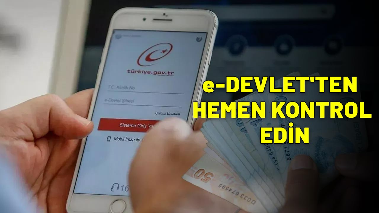 e-DEVLET'TEN HEMEN KONTROL EDİN: Nakit ödemeler hesaplara tak diye geçti!