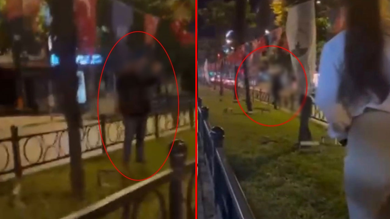 Türk bayrağını yakmaya çalıştı: Tepki gösterince kaçtı