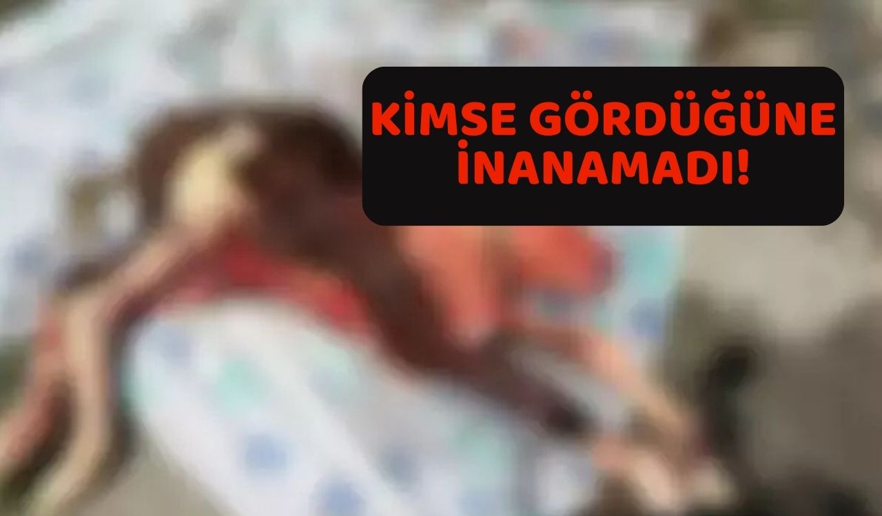 GÖREN DUA ETTİ: İneğin karnından çıkan buzağı Bartın'daki köylüleri ayağa kaldırdı!