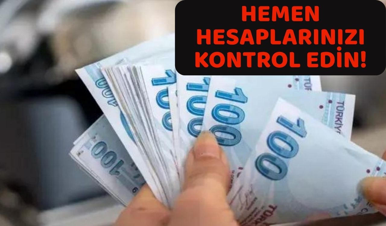 HEMEN HESAPLARINIZI KONTROL EDİN: 3.3 Milyar liralık destek ödemesi hesaplara aktarıldı!