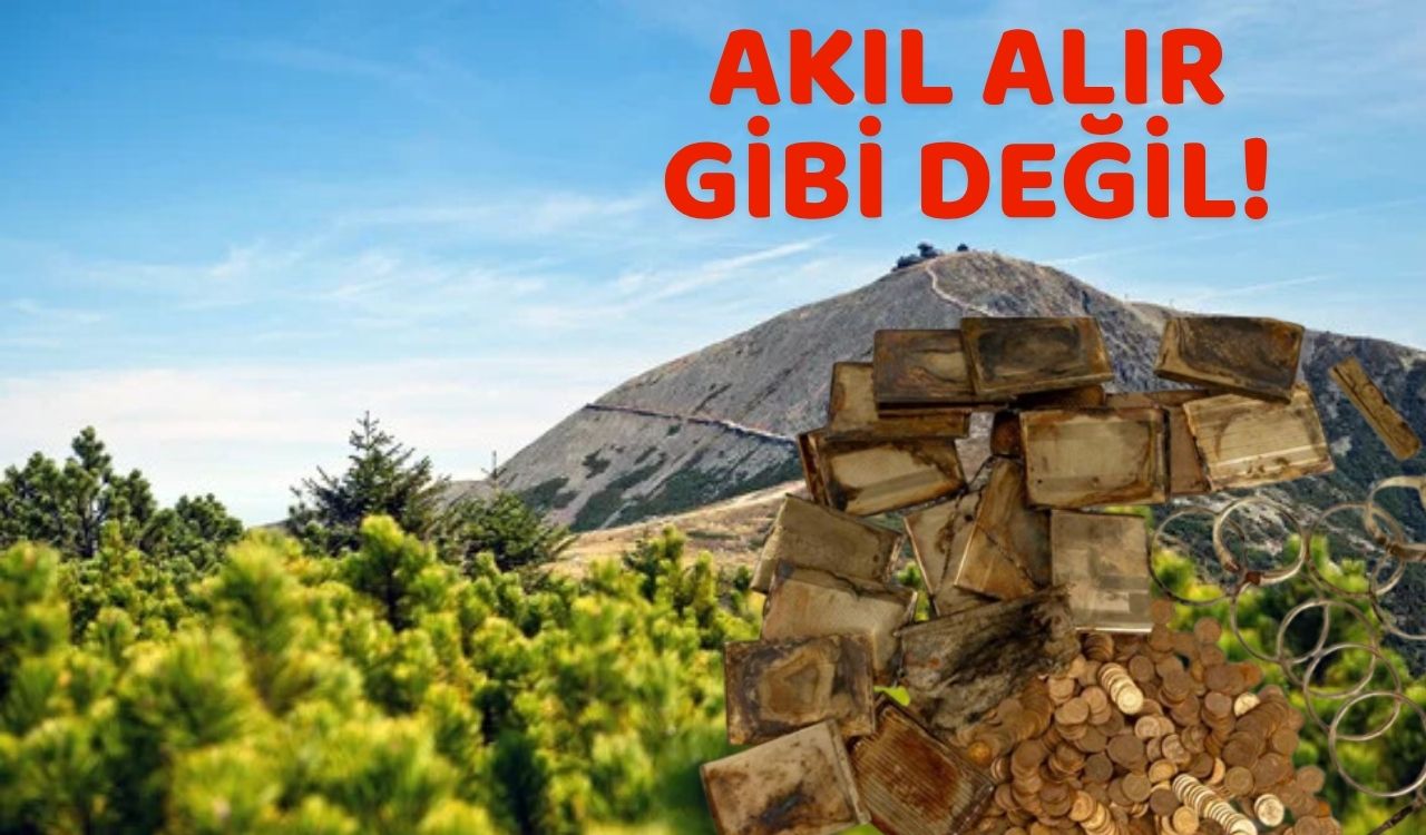TARİHLER ÖNCESİ KUTU HERKESİ ŞAŞKINA DÖNDÜRDÜ: Dağda gezinirken bulunan altın ve para dolu kutunun gizemi ortaya çıktı!