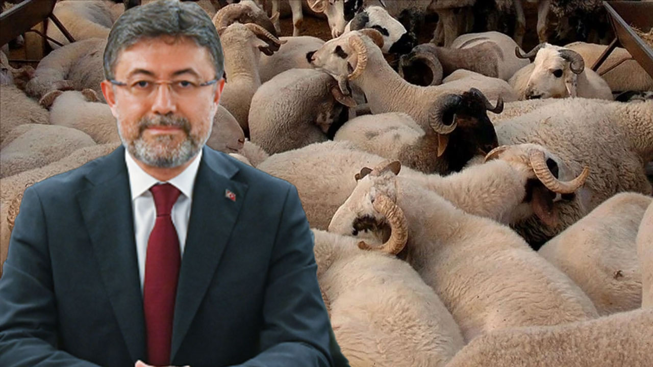 Bakan Yumaklı vatandaşları uyardı: Kurbanlık fiyatlarında spekülasyon yapmak isteyenleri biliyoruz