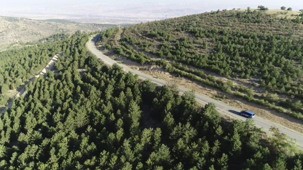 Valilik 5 ay süreyle ormanlara girişi yasakladı: Yasak dışındaki mesire alanları vatandaşa açık olacak