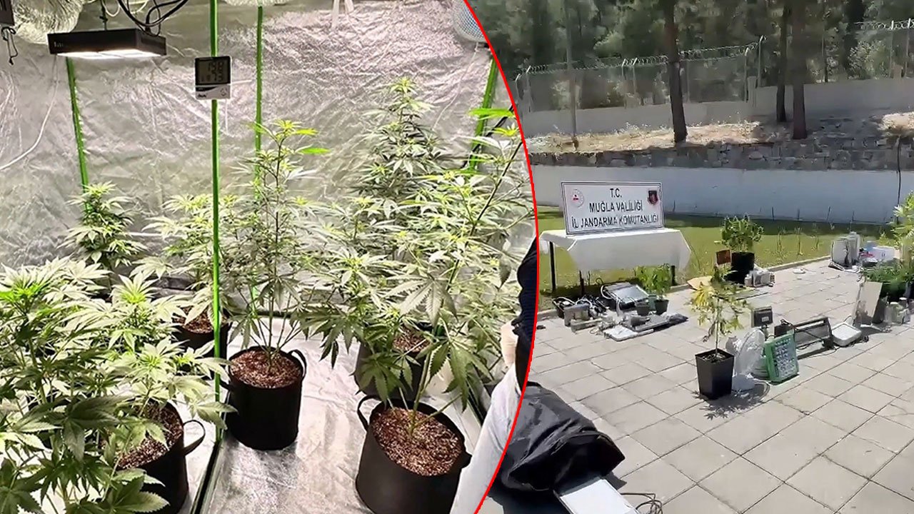 Zehir tacirlerine darbe: 73 gözaltı, 43 tutuklama