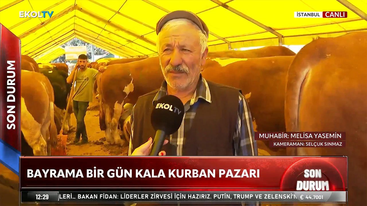 Kurban pazarı bu yıl bereketli: Satışlar yüz güldürdü