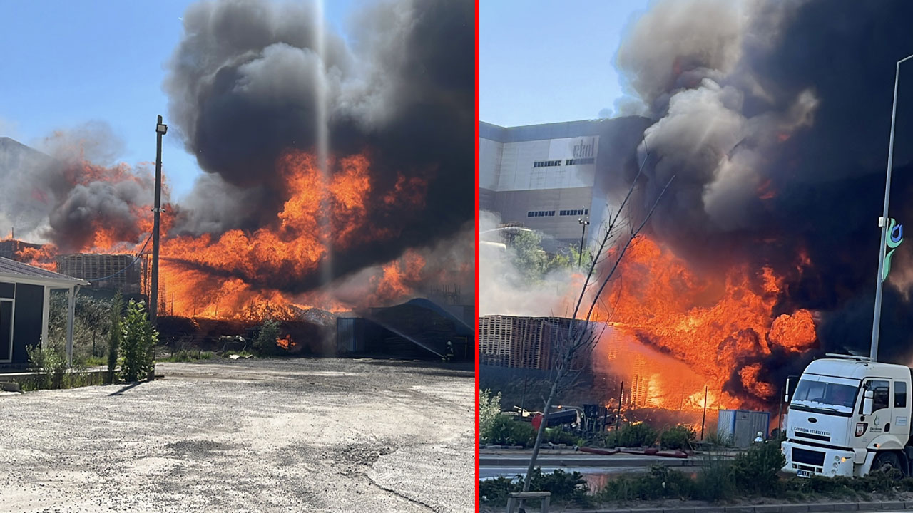 Kocaeli'de palet fabrikasında yangın!