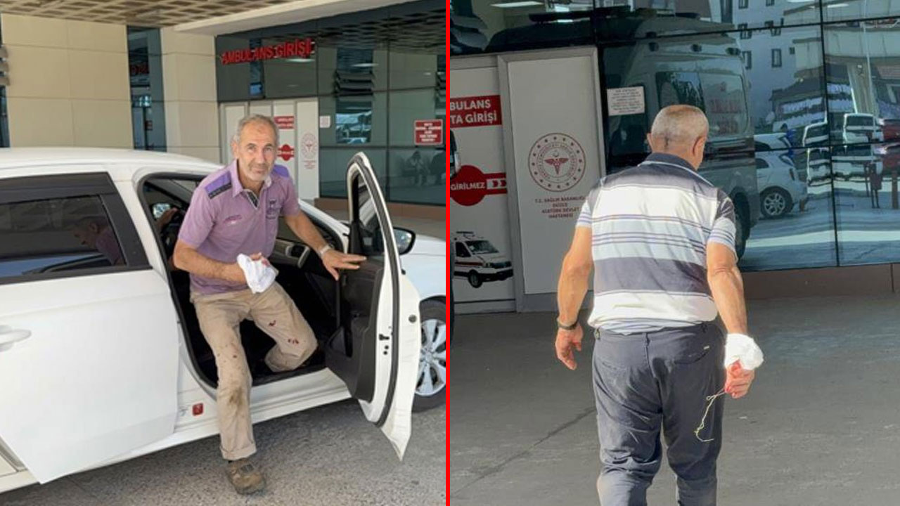 Bakan Memişoğlu bilançoyu açıkladı: Kurban kesimlerinde on binlerce kişi yaralandı