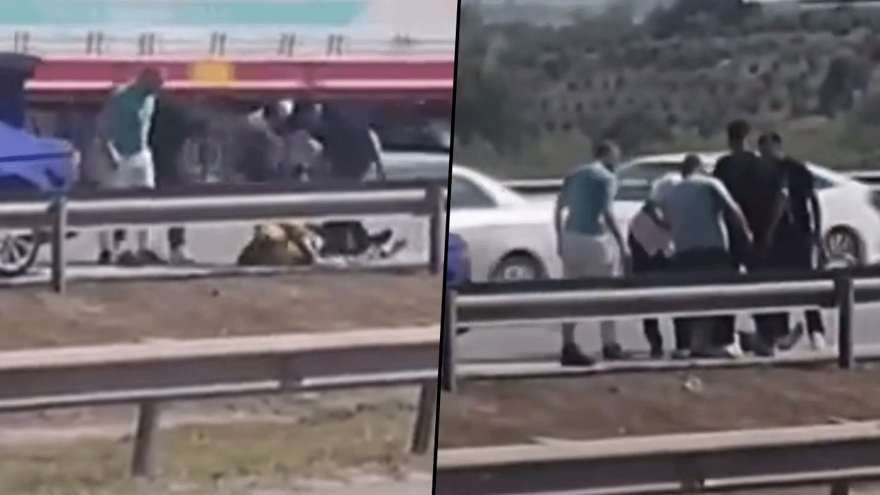 Otoyolda bayıltana kadar darbettiler: Dehşetin nedeni ortaya çıktı!