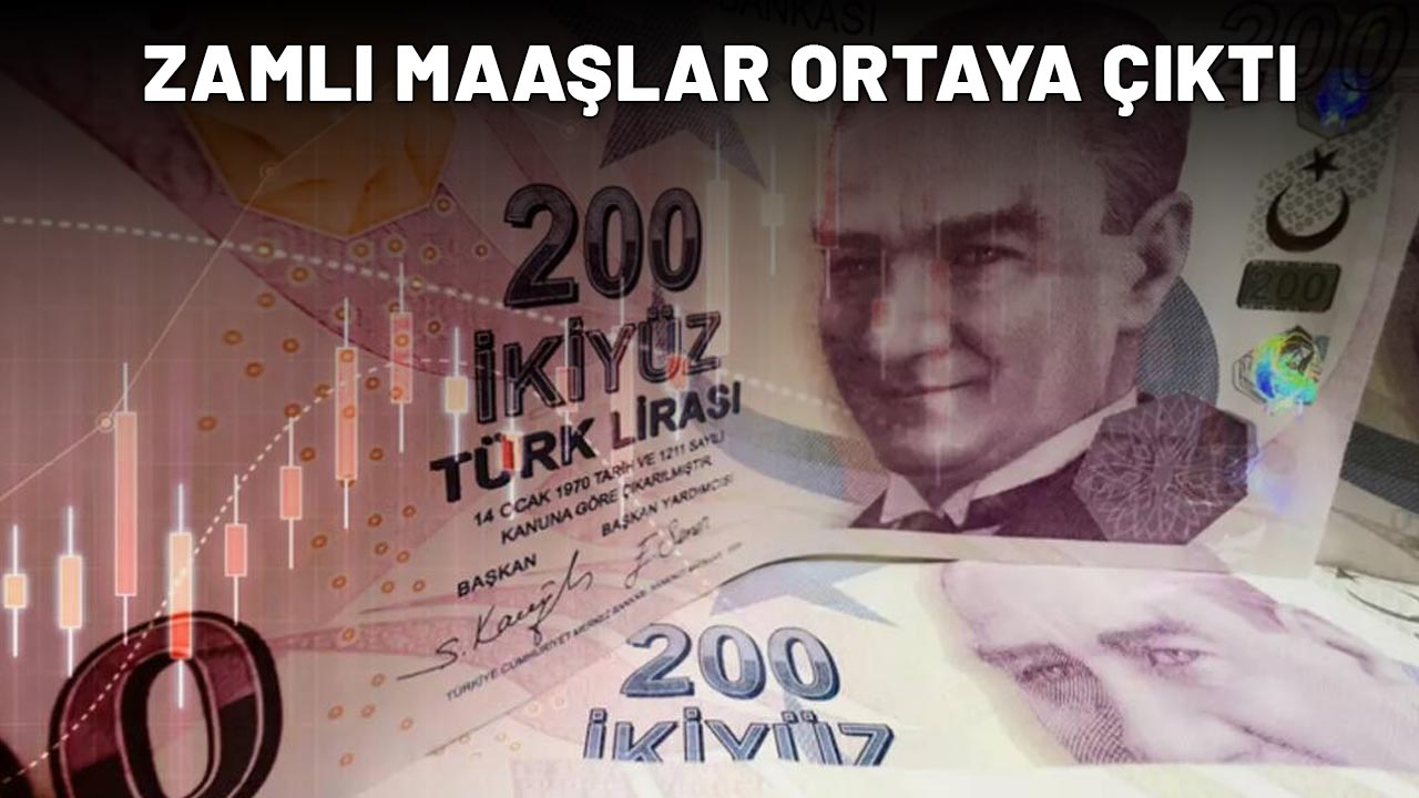 ÖĞRETMEN-DOKTOR- POLİS- AVUKAT- PROFESÖR MAAŞLARI GÜNCELLENDİ: işte yeni maaş takvimi