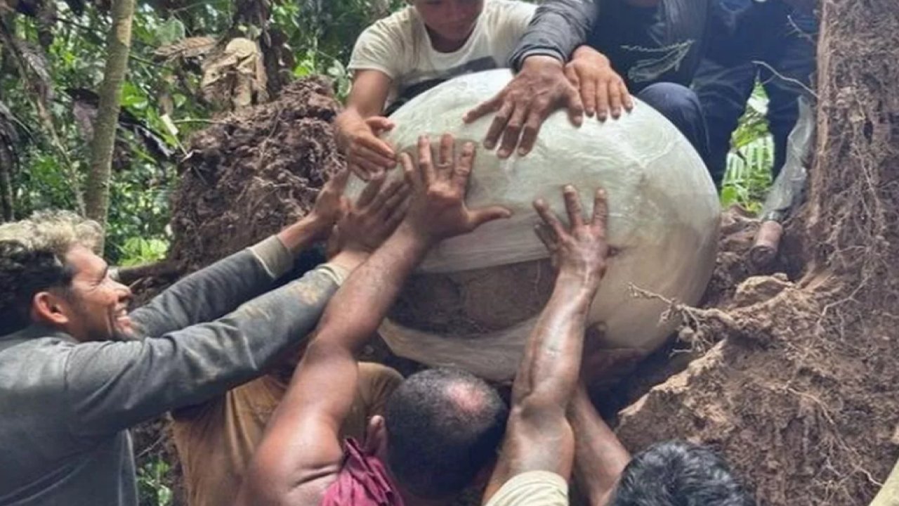 Ağacın altında insan kemikleriyle dolu küpler bulundu! Tarih yeniden yazılabilir