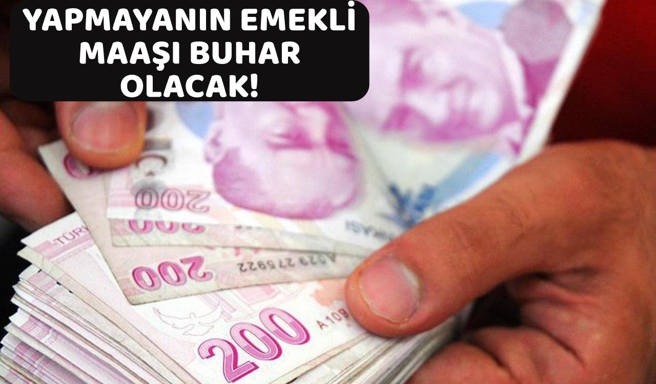 MİLYONLARCA EMEKLİYİ YAKINDAN İLGİLENDİRİYOR: Yapmayanın maaşı her an silinebilir!