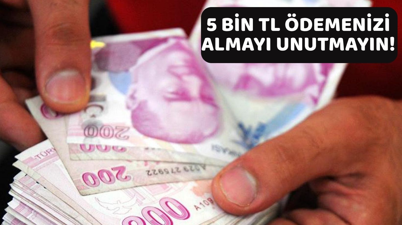 AİLE YILI KAPSAMINDA DESTEK ÖDEMELERİ BAŞLADI: 5 bin TL müjdesi geldi. O kişilere 5 bin TL ödeme yapılacak!